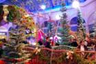Bellagio Conservatory Christmas Display