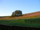 Beautiful day in Kirkwood.  www.KirkwoodNeighbors.com