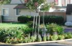 Diablo Creek is a mostly owner occupied, quiet complex near the city of Clayton.  www.DiabloCreek.net