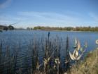 Maplewood Lake
      
      Photo By:  Therese VanderMeer
