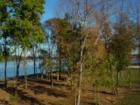 Belmont Bay Waterview as seen from Harbor Pointe East