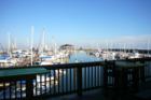 No Guts, No Glory--Shaggy's rebuilt on the water--and its gorgeous in a rustic way. If you come through, stop for a visit.
