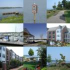 Belmont Bay Collage