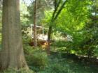Mid-Century Modern Home In Hollin Hills