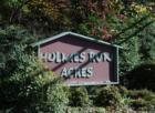 Holmes Run Acres