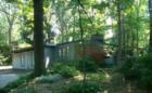 Holmes Run Acres-Mid Century Modern
