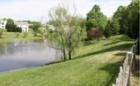 Pond just off Old Bridge Road in Old Bridge Estate neighborhood