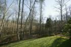 Wooded View from Home in Old Bridge Estates