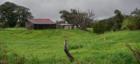 a country scene off Puuomalei Road in Haiku Maui