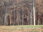 Maple Creek Subdivision
      Lot For Sale By Chastity Gaither, Weichert Realtors Amity Partners