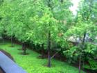 View from Balcony www.DiabloCreek.net