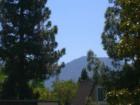 View of Mt. Diablo