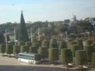 Ar119887522507156_l
