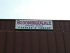 http://www.bloomingdealsonline.com 
      
      Teen~ Young Adult clothing resale shoppe