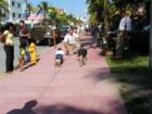 South Beach. Fun in the streets