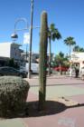 Street Scene Old Town Scottsdale
