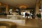 The Phoenician Lobby