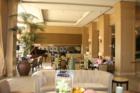 The Phoenician Lobby