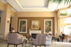 The Phoenician Lobby
