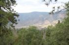 Jenks Lake area near Yucaipa