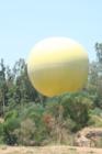 Wild Animal Park