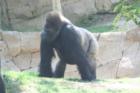 Wild Animal Park