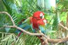 Wild Animal Park