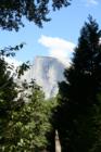 Yosemite National Park
