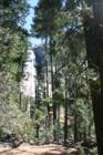 Yosemite National Park