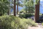 Yosemite National Park