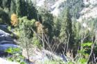 Yosemite National Park