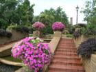 Grounds of the Grand Hotel in Point Clear