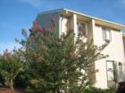 BayTree Townhome