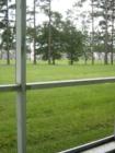 Views from your screened in porch at Colonial Creek