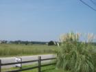 Cherry Grove Marsh