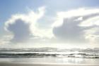 What a beautiful day at Ocean Shores!