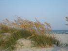 Ocean Drive Beach