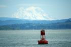 Mt Rainier from Grays Harbor Bay