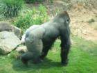 Columbia Zoo...  The very Best!