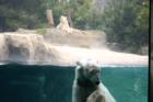 San Diego Zoo