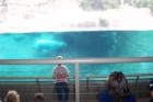 San Diego Zoo