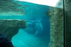 San Diego Zoo