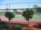 Timberlakes, Royal Woods pool, community tennis courts, Ft Myers, FL
