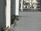 Ar119898761182273_l