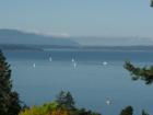 Wednesday evening Sailboat Races on Bellingham Bay