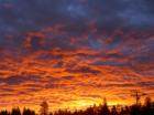 Beautiful Sunrise In Big Bear