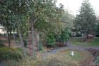 Franciscan Monastery - meditaton garden
