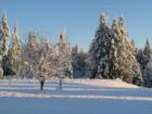 Who thinks it doesn't snow in Washington?