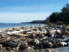 Camano Island Country Club Private Community Beach