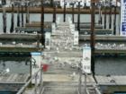 Wantagh State Park, Long Island, New York
      Winter, 2007
      by Long Island Feng Shui Consultant Carole Provenzale
